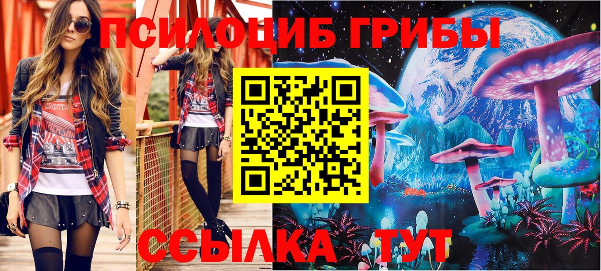Тавда  Псилоцибиновые грибы мухоморы  Псилоцибиновые грибы GOLDEN TEACHER  Вход с VPN 